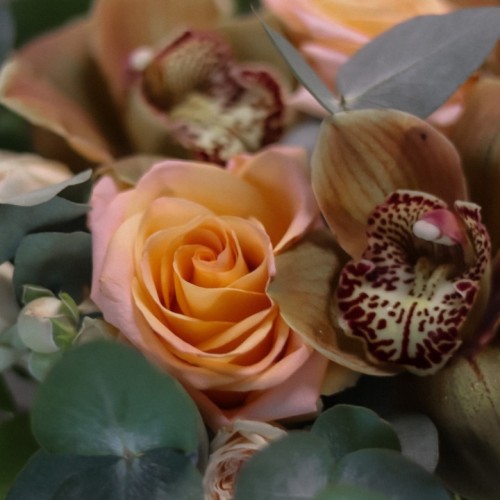 Композиция с орхидеей и розой
